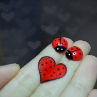 /album/fotogaleria/corazon-jpg/